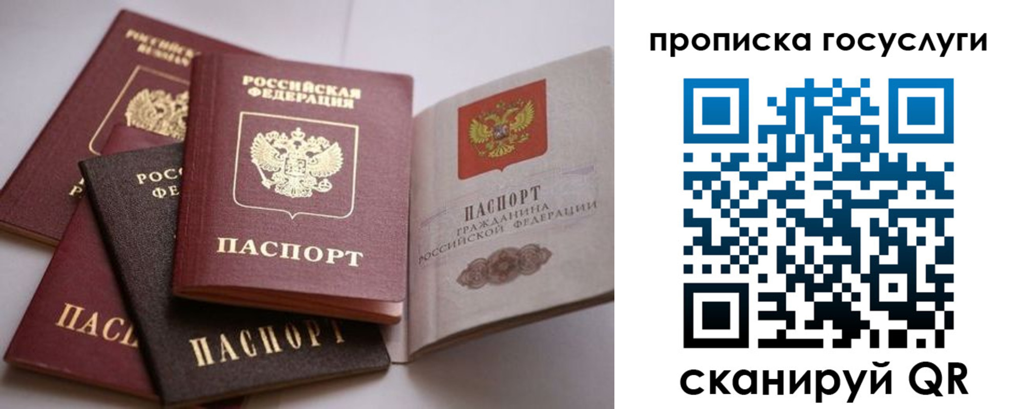 купить прописку в Камышлове